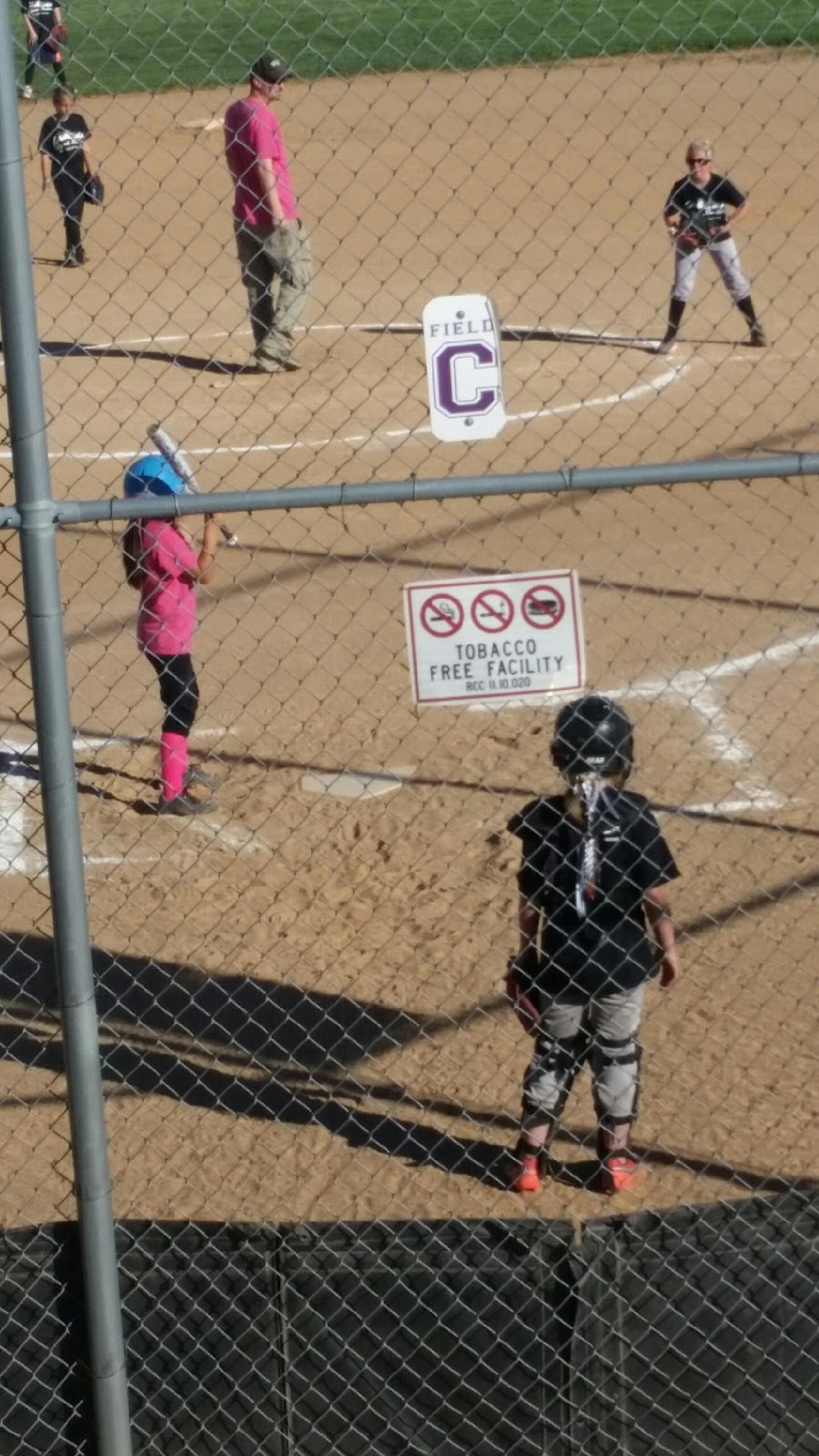 Twelve Makes a Dozen May 2018