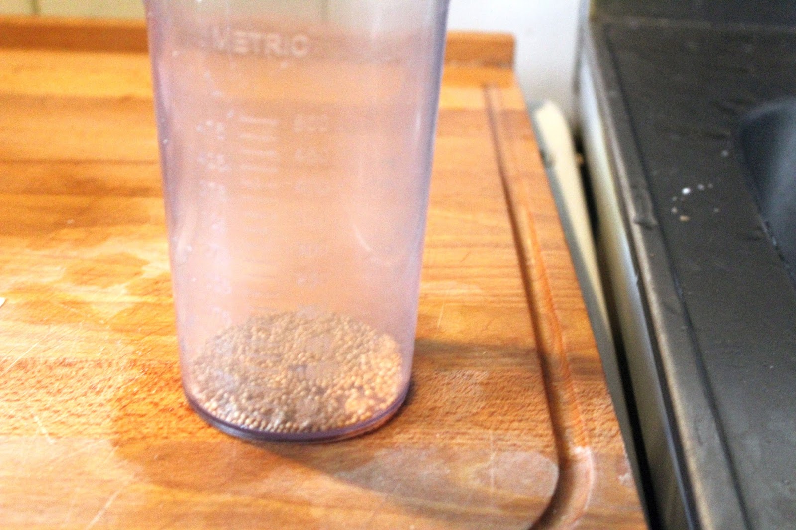 Süßer Senf – selbst gemacht – glatzkoch.de