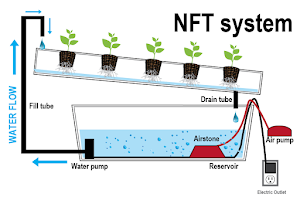 Ilustrasi Sistem NFT 2