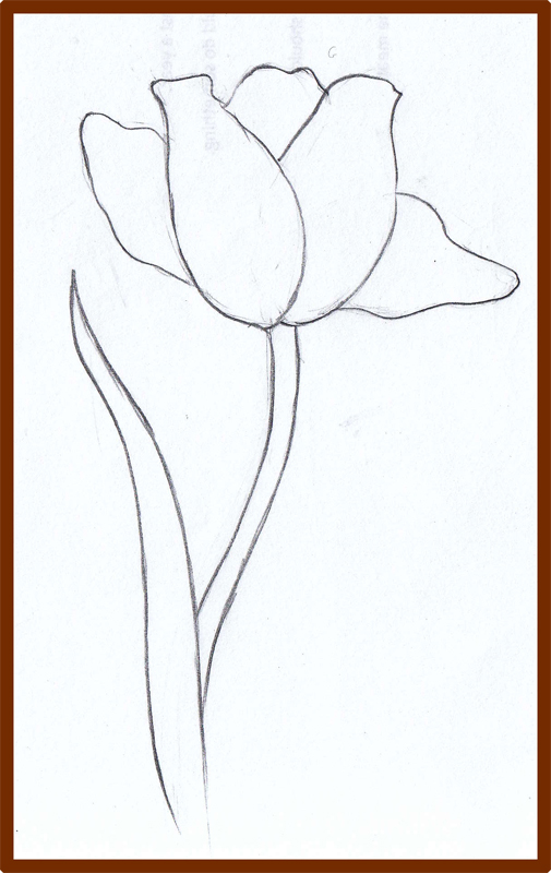 Weekly : Doodles and tuts: How to draw a Tulip: Method 3