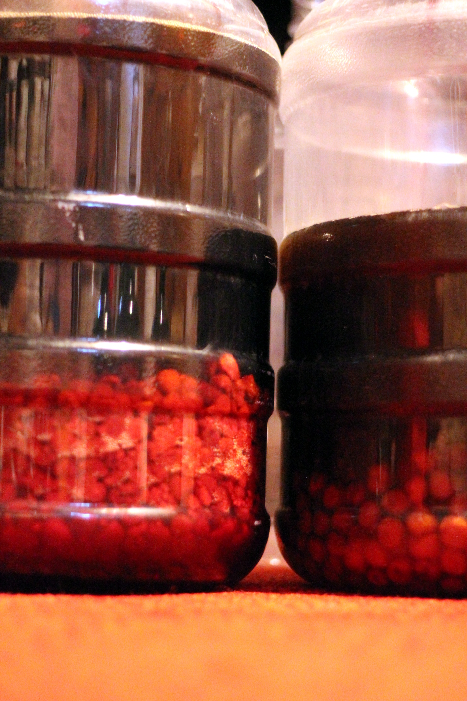 The Mad Fermentationist Homebrewing Blog Beer Recipe Design First Time