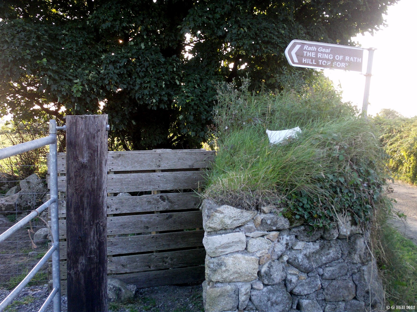 Ireland In Ruins: The Ring Of Rath Co Wicklow