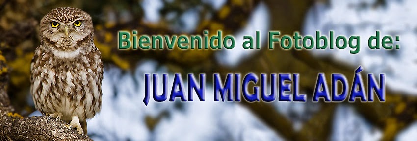Juan M. Adán