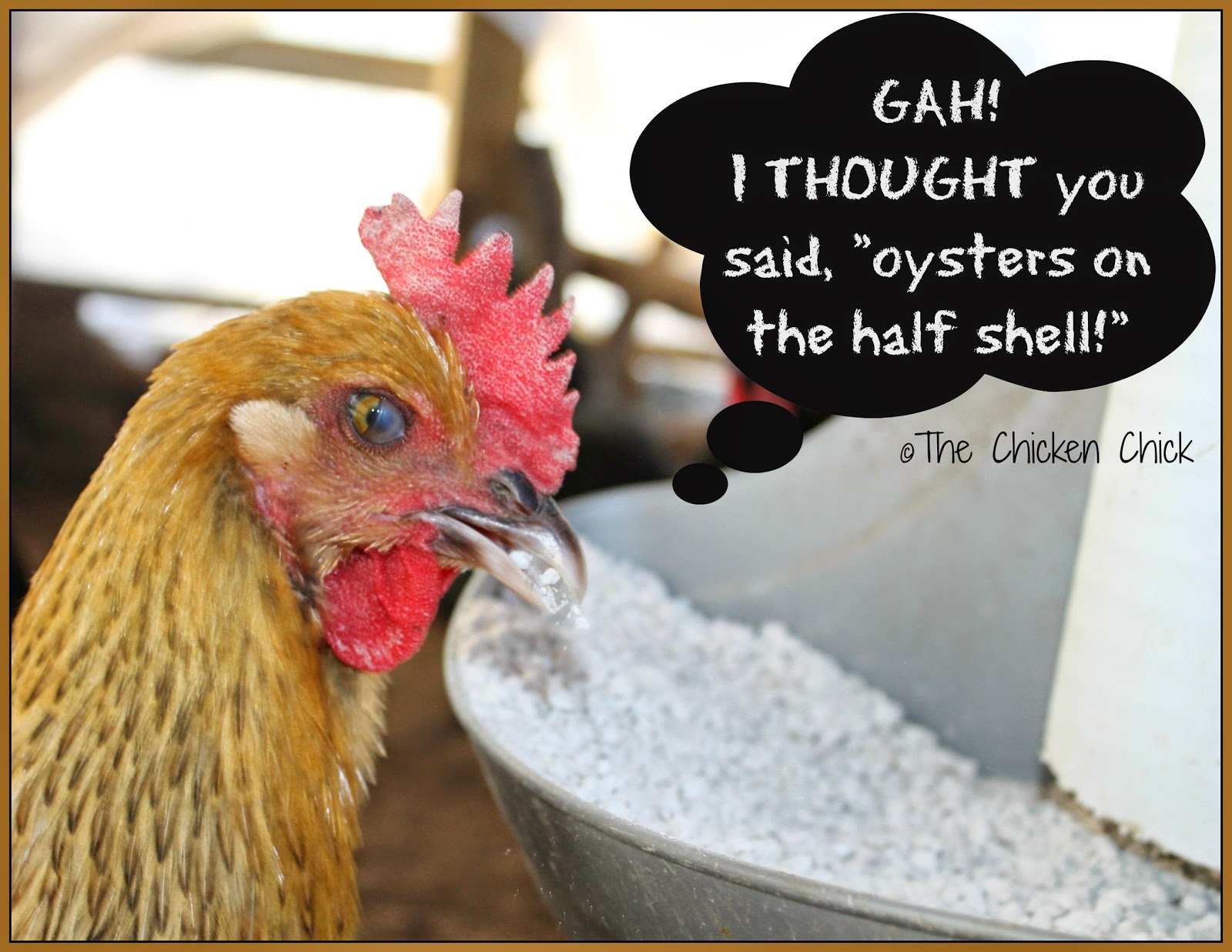 The Chicken Chick® For Strong Eggshells, Size Matters