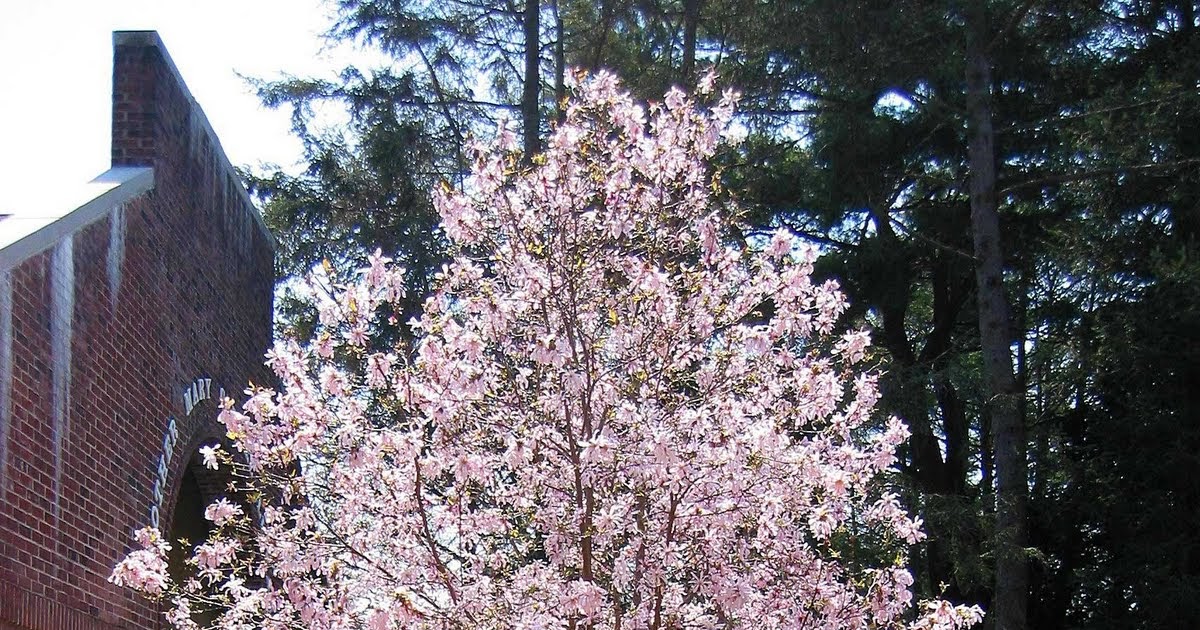 Long Island Daily Photo