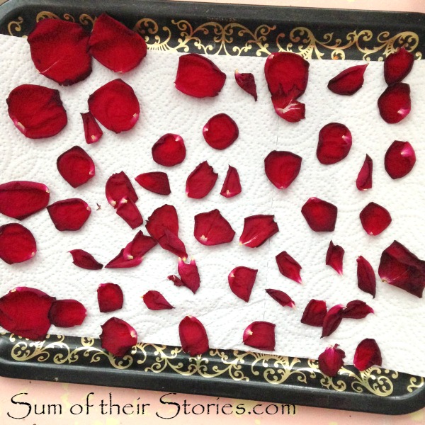How to dry Rose Petals Sum of their Stories