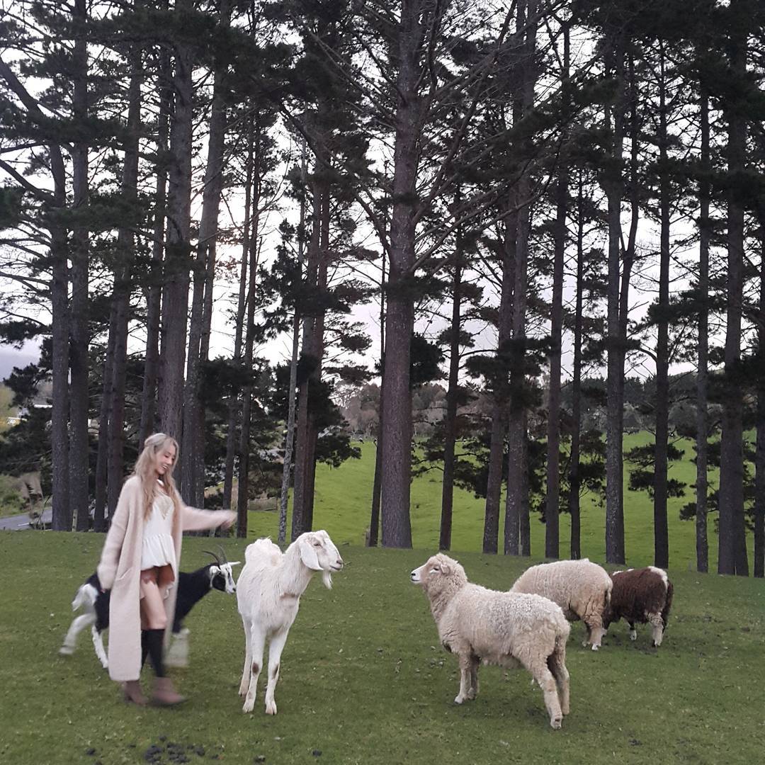 태연 vs 제시카 | 인스티즈