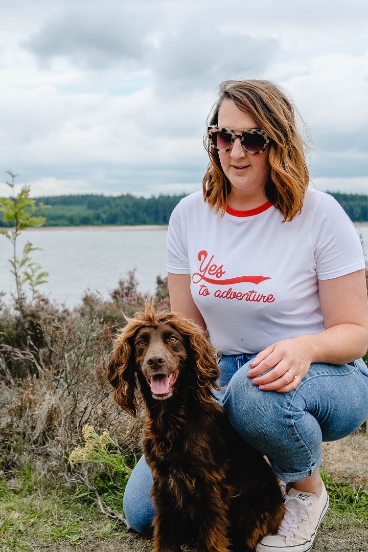 Dog Friendly Guide to Northumberland Steph & The Spaniels Dog
