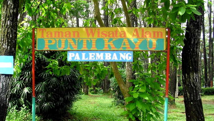 Palembang History Taman Wisata Alam Punti Kayu