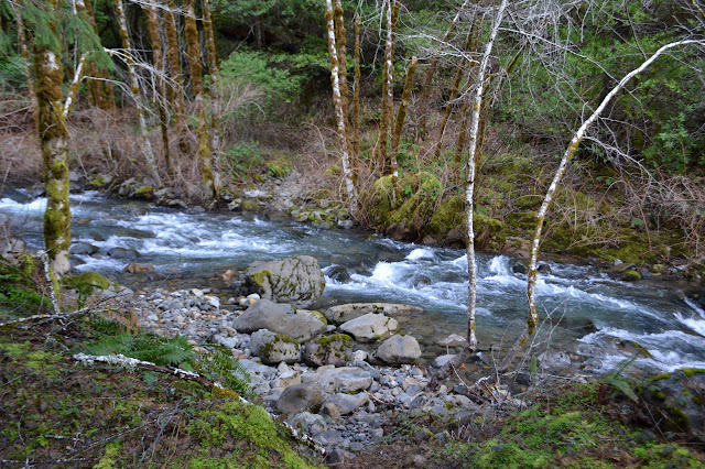 West Fork Patrick Creek