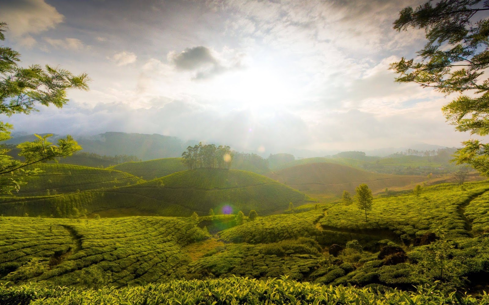 Valley Wallpapers Valley Wallpapers