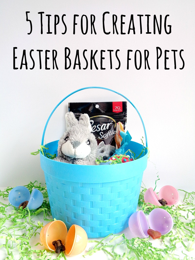 5 Tips For Creating Easter Baskets For Pets Running With A Glue Gun