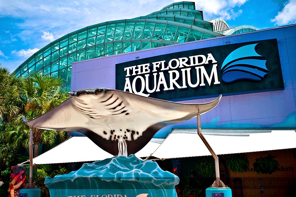 O que fazer em Tampa e passeios imperdíveis! O que fazer em Tampa e passeios imperdíveis!