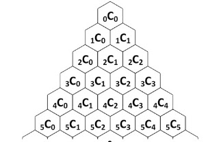 Pascal Triangle C Program Code : Printing a Pascal's Triangle : C program