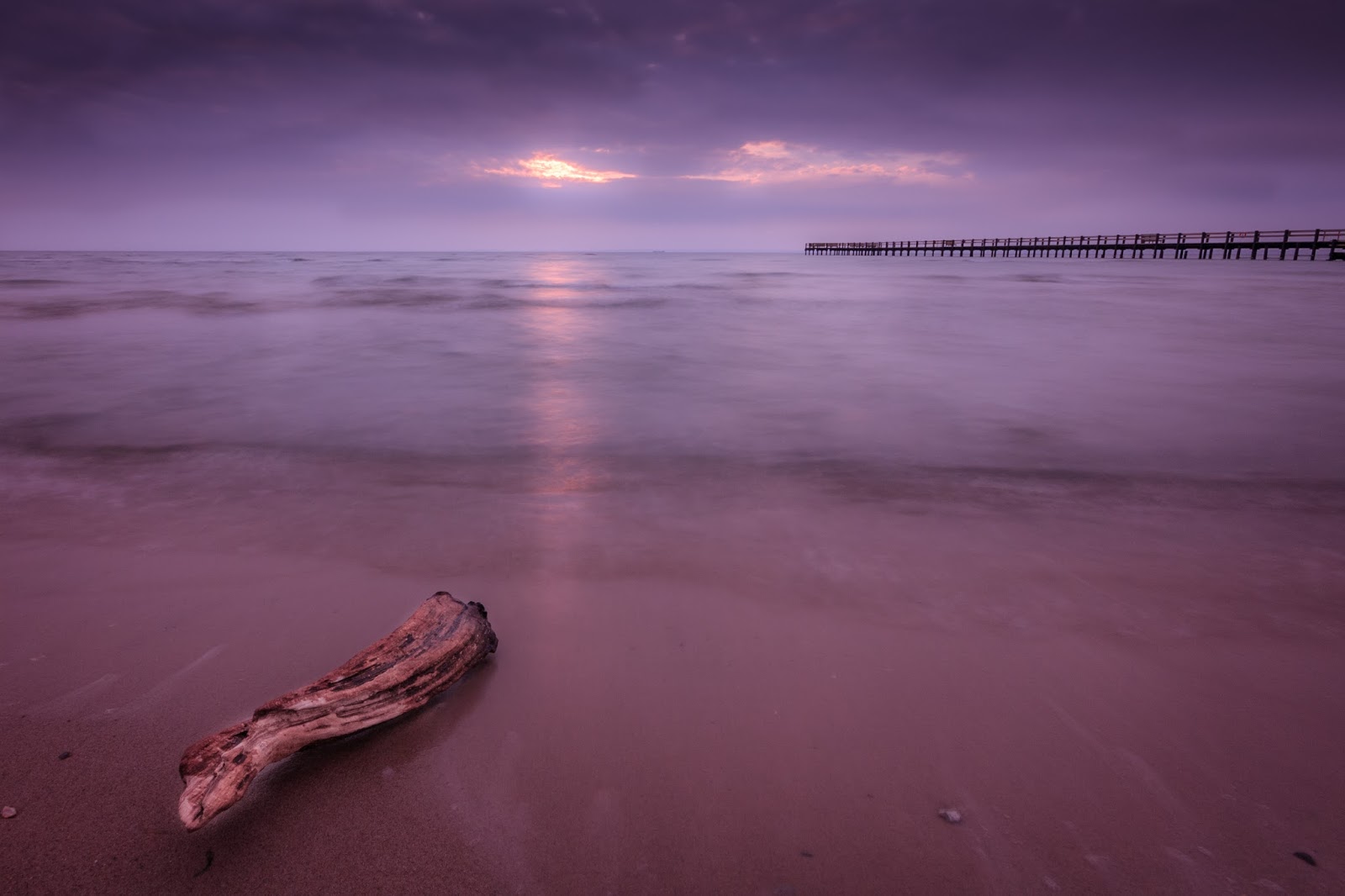 Lighting Stories Driftwood