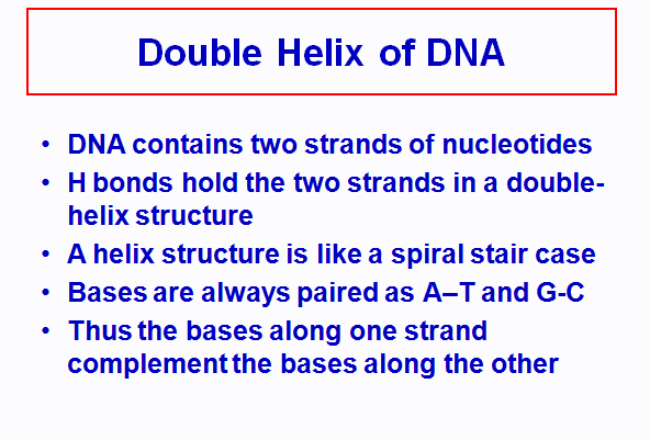 Structure of D.N.A,DNA  REPLICATION,rna and transcription,