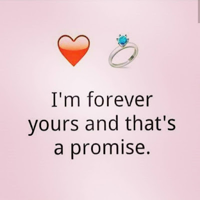 promise me this is forever quotes promise me this is forever quotes