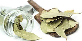 Tanaman Herbal Untuk Penyakit Asam Urat