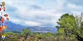 Panorámica de Lorcha/l´Orxa