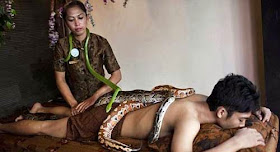 شاهدوا بالصور اغرب أنواع المساج والتدليك في العالم