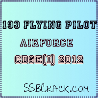 193+flying+course+cdse
