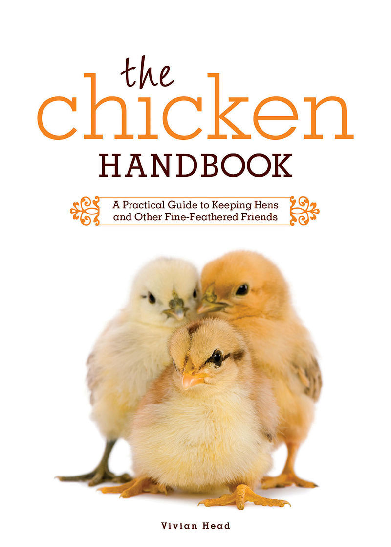 A Homesteading Neophyte The Chicken Handbook by Vivian Head (a review)