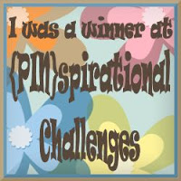 Pinspirational challenges winner