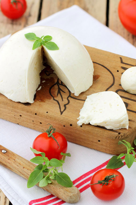La Mozzarella maison allégée au Tofu Soyeux