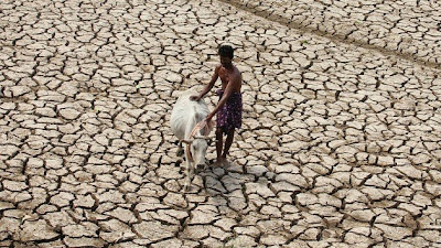 "Las guerras por el agua serán más cruentas que las guerras por el petróleo" "Las guerras por el agua serán más cruentas que las guerras por el petróleo"