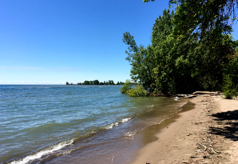 Lake Ontario Shoreline Cleanup with A Greener Future
