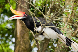 Kuala Lumpur Bird Park