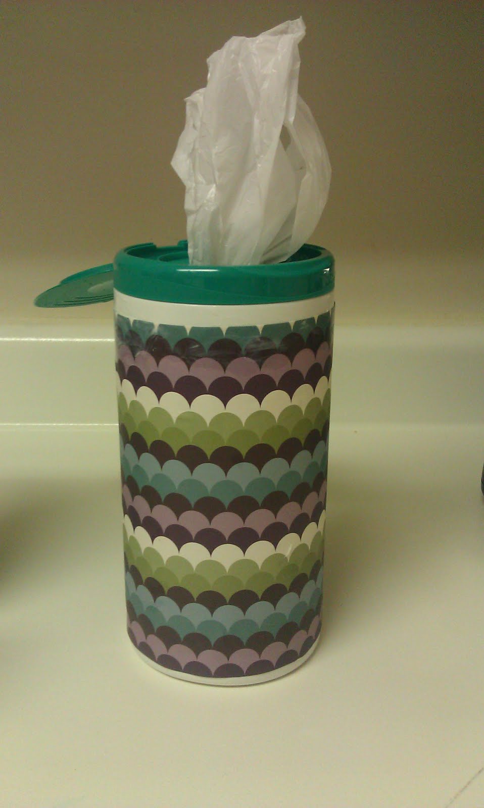 blink and you'll miss it Plastic Bag Holder Tutorial