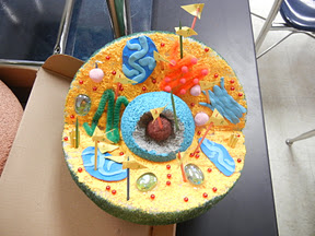 Cara Membuat Sel Hewan Dari Styrofoam