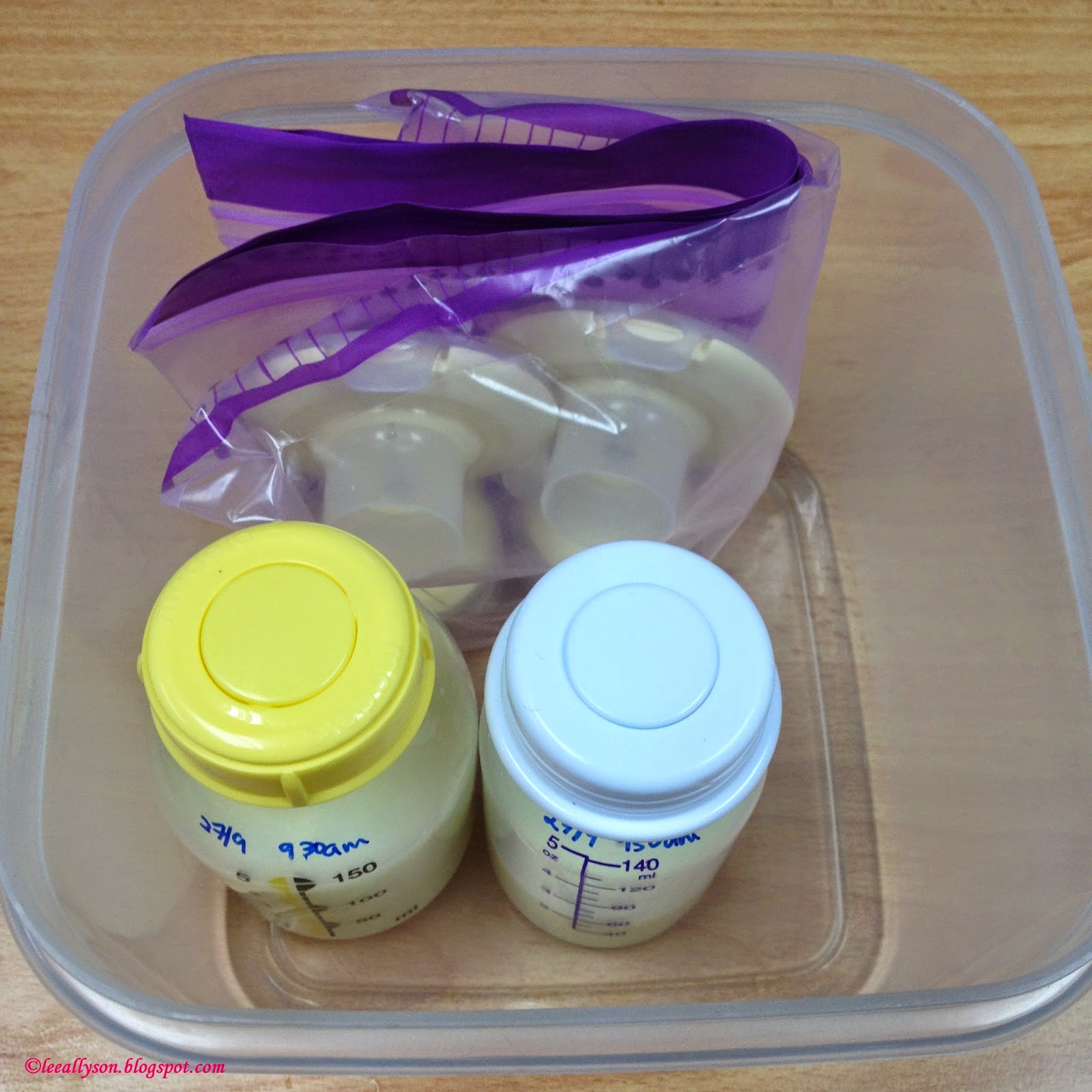 Storing Milk for Getting back to work