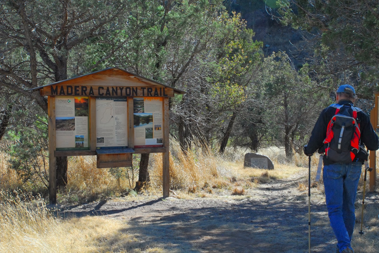 Texas Mountain Trail Daily Photo Montezuma Quail
