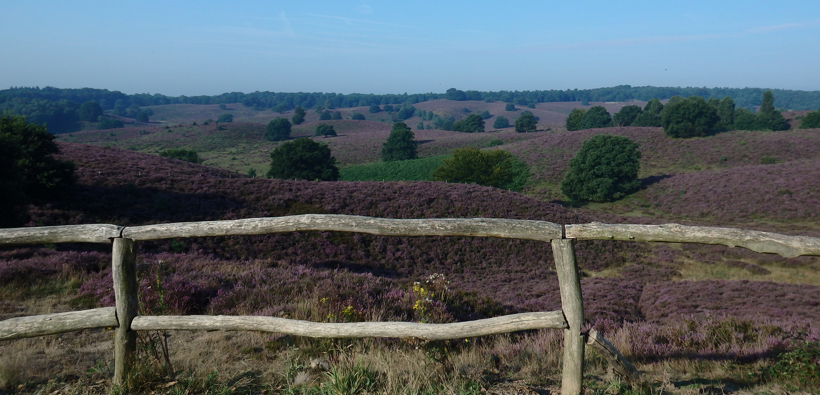 Natuur en Landschap.. Nationaal Park Veluwe zoom en Nationale Park De