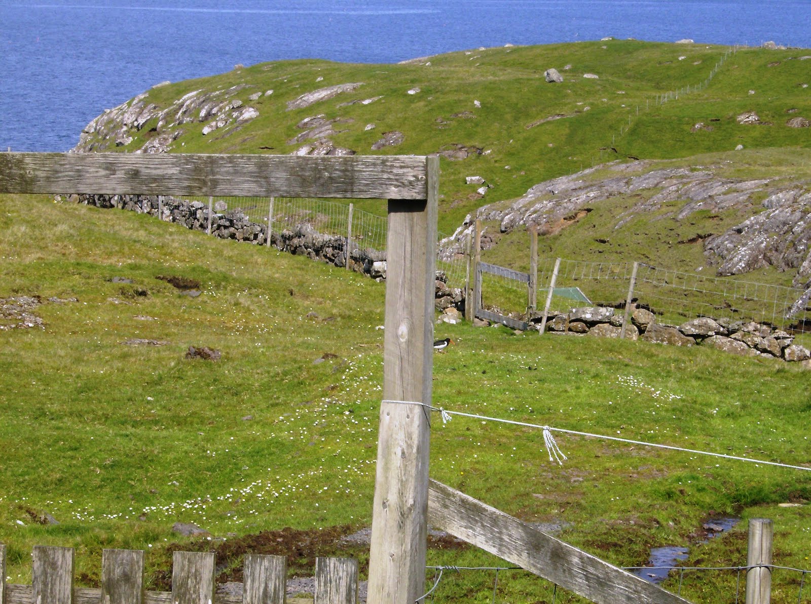 LISTIN SUMMARLISTIN 2 Hans Andrias Djurhuus og Per Kirkeby