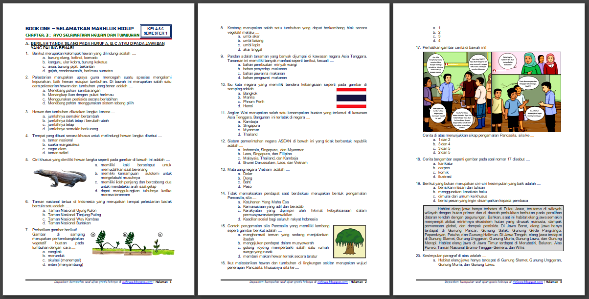 Download Soal Dan Kunci Jawaban Tematik Kelas 6 Semester 1 Tema 1 Subtema 3 Selamatkan Makhluk Hidup Ayo Selamatkan Hewan Dan Tumbuhan Edisi Revisi 2018 Rief Awa Blog