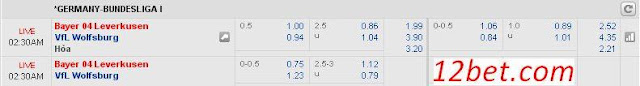 Dự đoán kèo cá cược Leverkusen vs Wolfsburg (01h30 ngày 02/04) Leverkusen