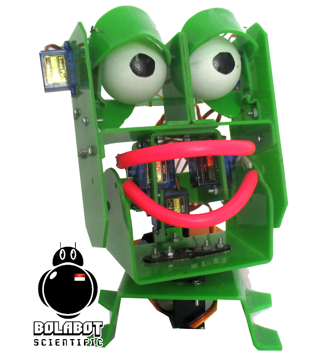 EENBOT (Electronic Humanoid Robot)