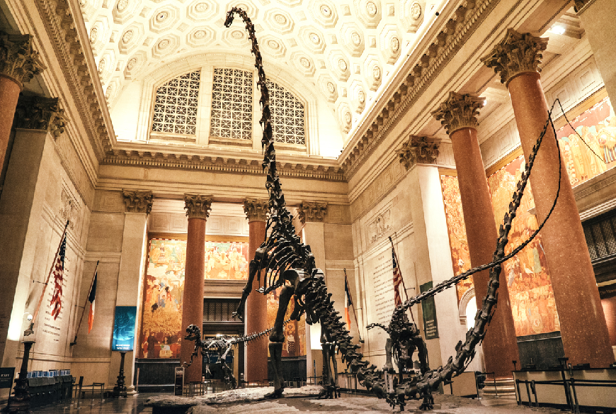 New York Hall Of Science Cafe New York Hall Of Science Cafe