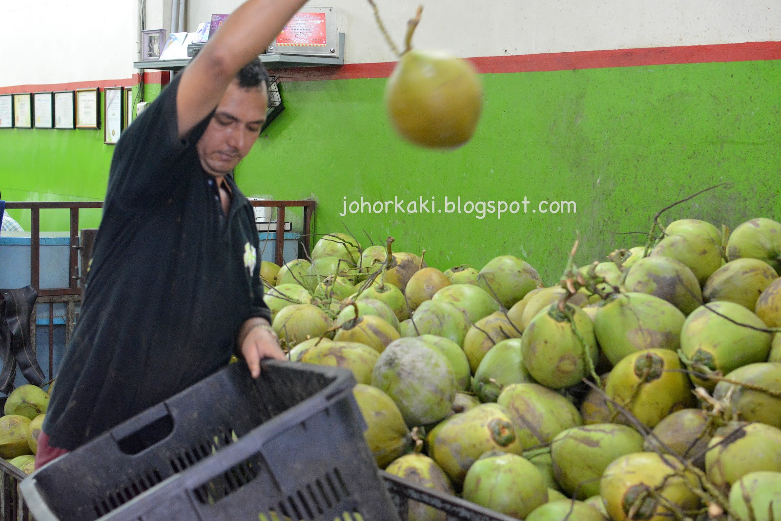 Joez Coconut Jelly In Penang Georgetown Dato Karamat Jk1300 Johor Kaki Travels For Food