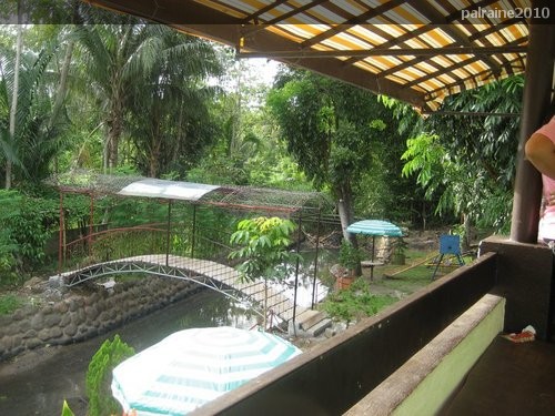 BACK AGAIN: DAVAO EAGLE RIDGE RESORT a Garden Resort in Upper Ulas ...