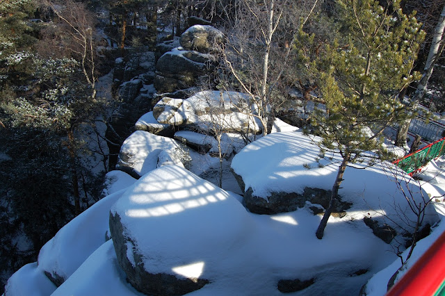DSC_7377.JPG