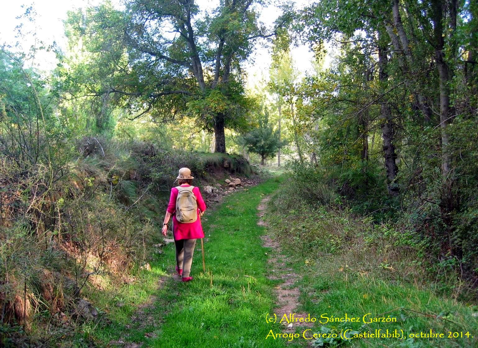 arroyo-cerezo-rambla-camino-castielfabib arroyo-cerezo-rambla-camino-castielfabib