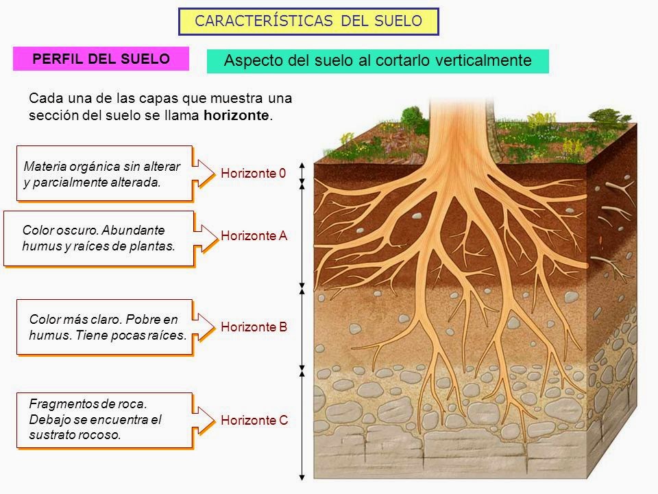 FUNDAMENTOS DE LA CIENCIA: HISTORIA DE LA CIENCIA DEL SUELO (EDAFOLOGÍA)