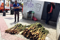 NALCAS TARDÍAS DE PENCO