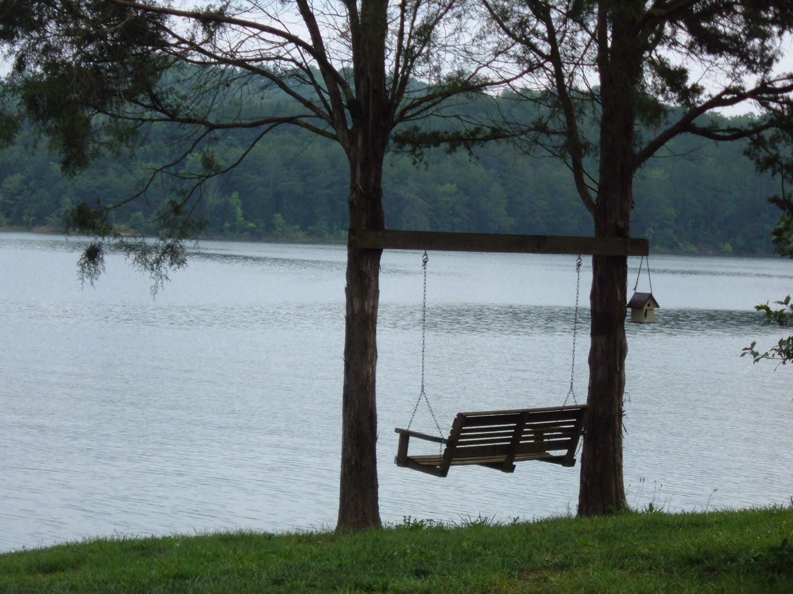 Douglas Lake Vacations Lazy Man's Way Lakefront Cabin