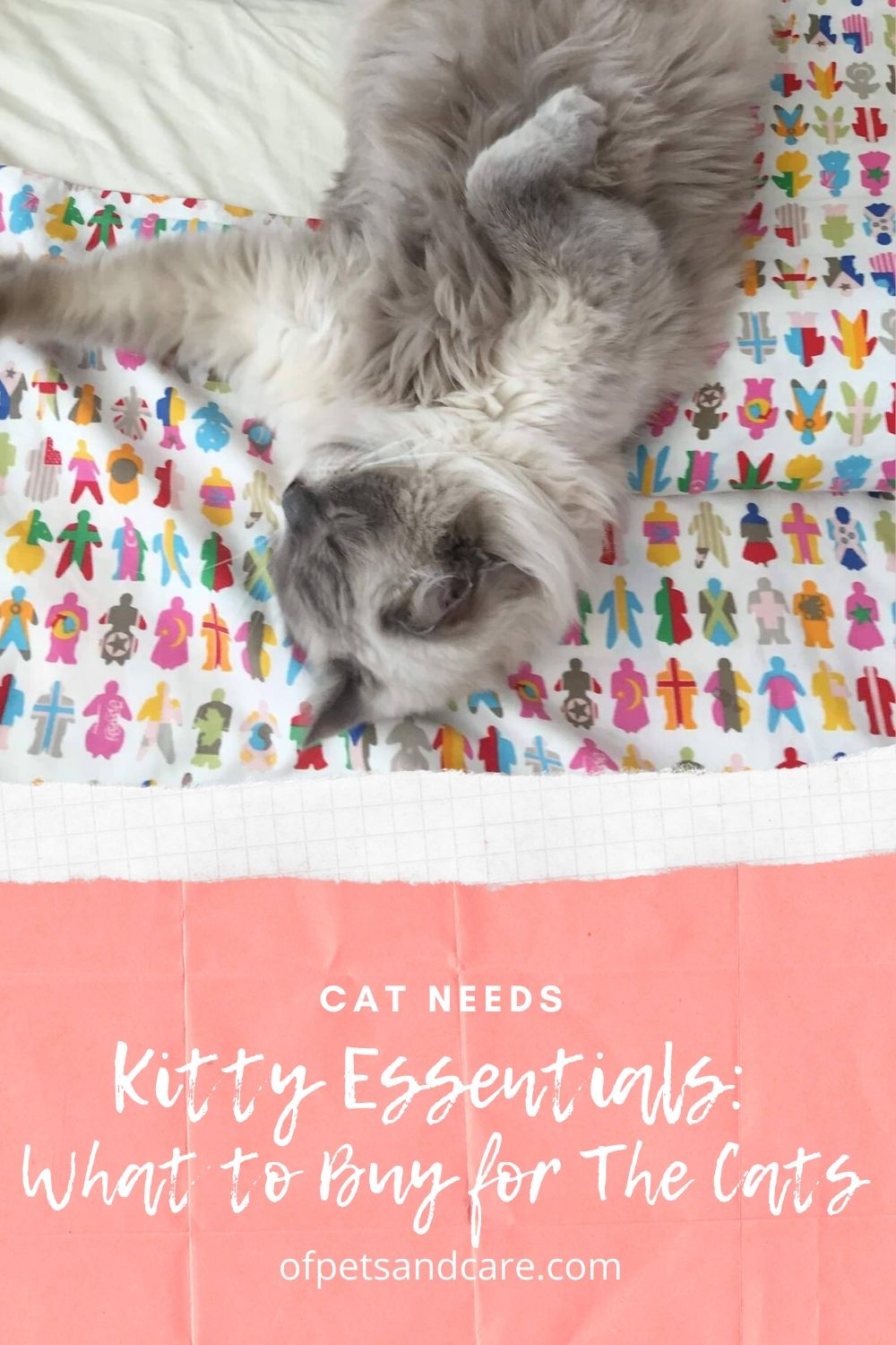 Having a pet at home is pretty much like adopting another child. One has to take responsibility in providing for the pet’s needs and ensure its well being. Here are some kitty essentials that cat owners need to buy for their pets.