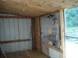 chicken coop walls insulation plywood floor putting put ceiling vinyl meadowcreek boards